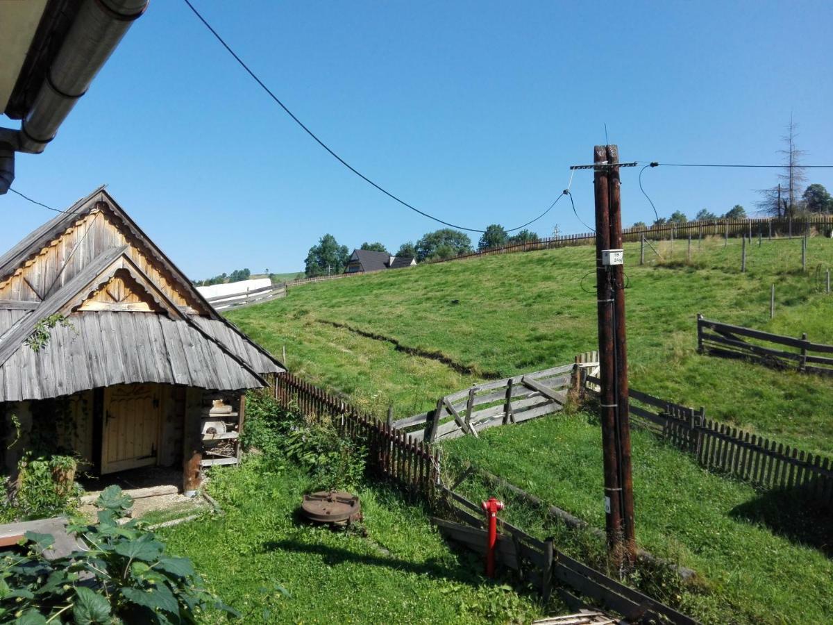 Pokoje Goscinne U Elzbiety Ciche Małe Extérieur photo