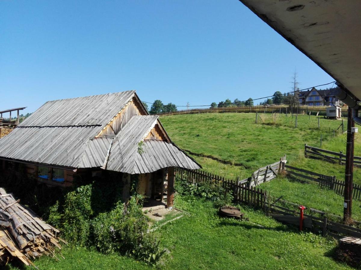 Pokoje Goscinne U Elzbiety Ciche Małe Extérieur photo